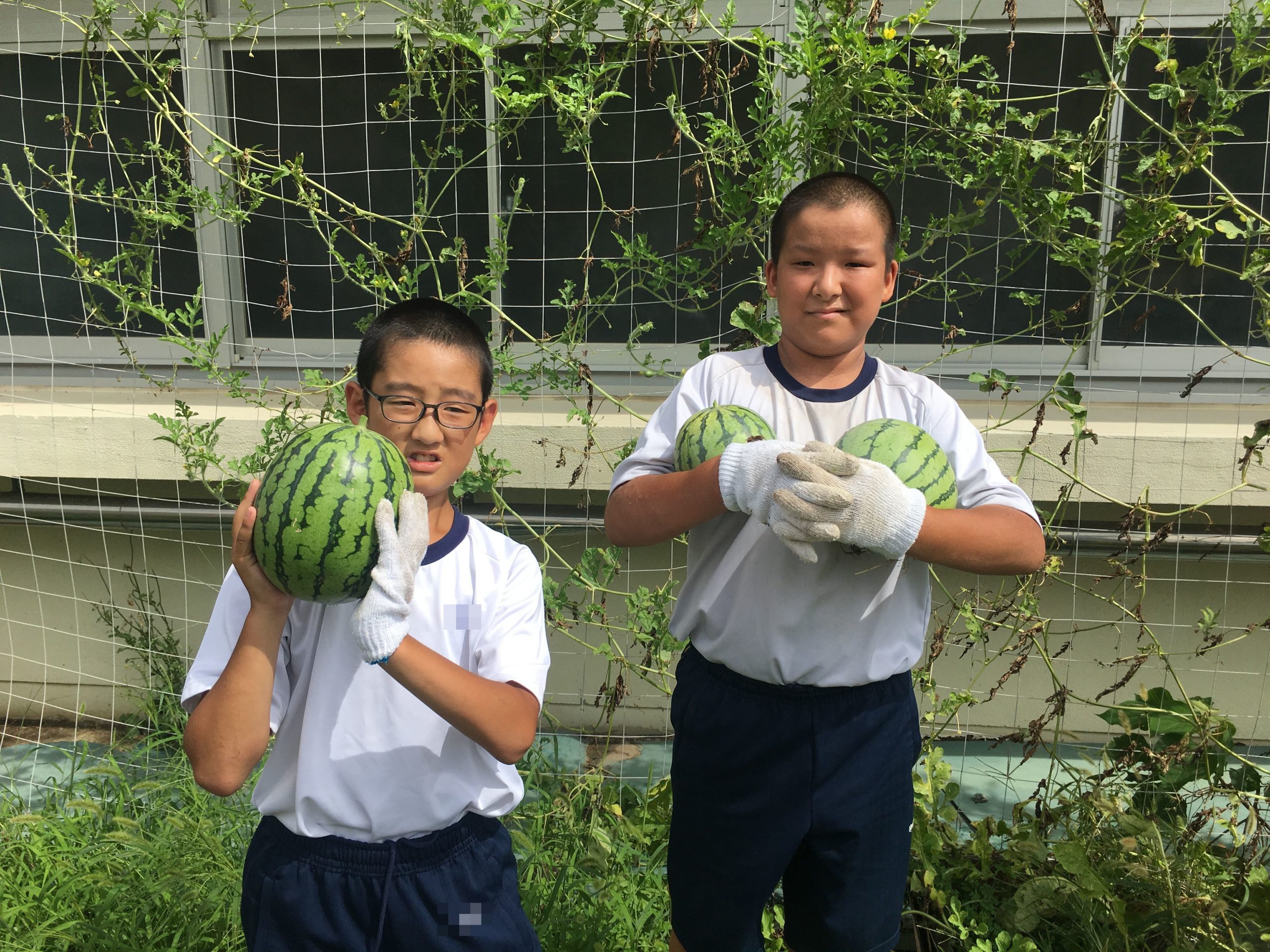 ２学期の「野菜づくりプロジェクト」がはじまりました。