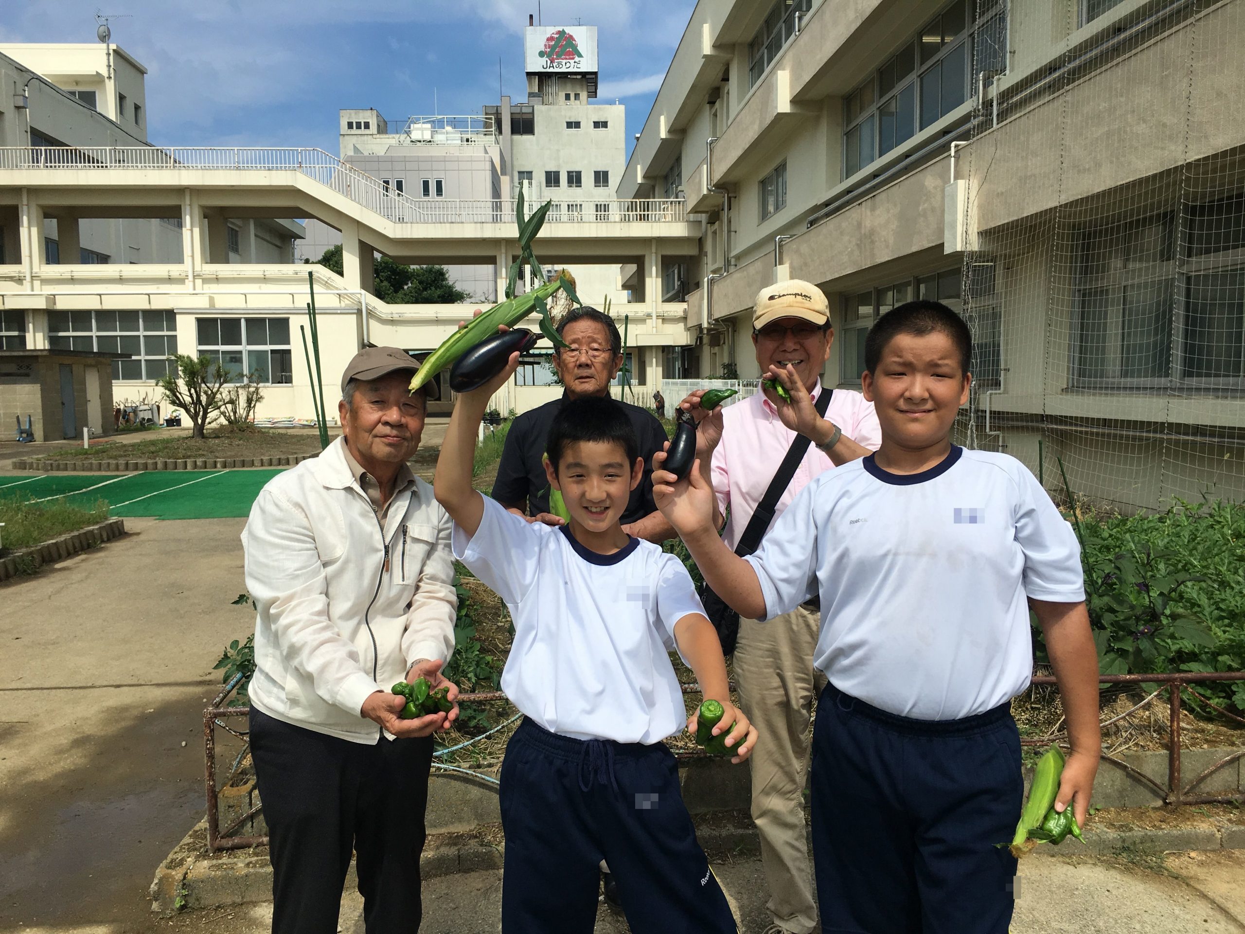 野菜を収穫し、収穫した野菜でピザをつくりました。