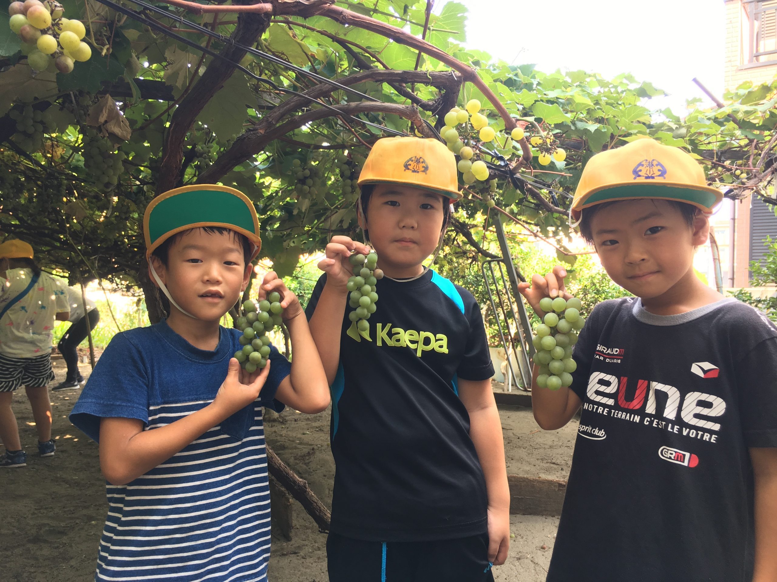 港小学校２年生、４年生が「ぶどう狩り」「ジャム作り」をしました。